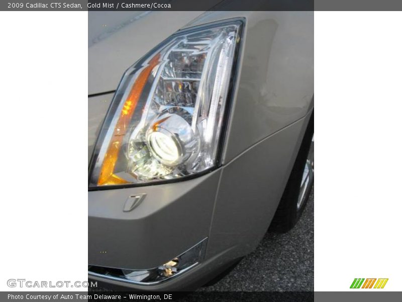Gold Mist / Cashmere/Cocoa 2009 Cadillac CTS Sedan