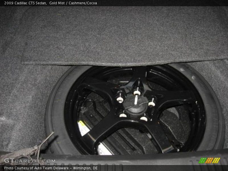 Gold Mist / Cashmere/Cocoa 2009 Cadillac CTS Sedan