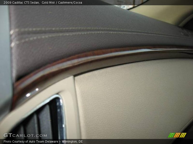 Gold Mist / Cashmere/Cocoa 2009 Cadillac CTS Sedan