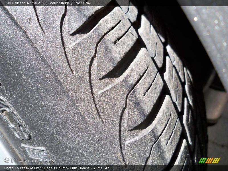 Velvet Beige / Frost Gray 2004 Nissan Altima 2.5 S