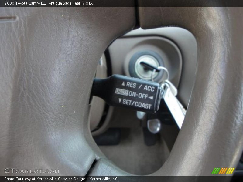 Antique Sage Pearl / Oak 2000 Toyota Camry LE