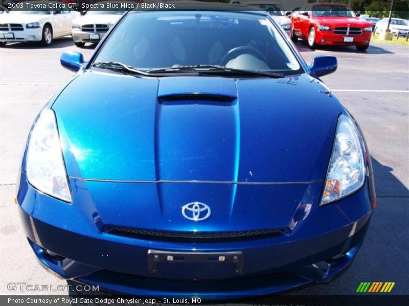 Spectra Blue Mica / Black/Black 2003 Toyota Celica GT