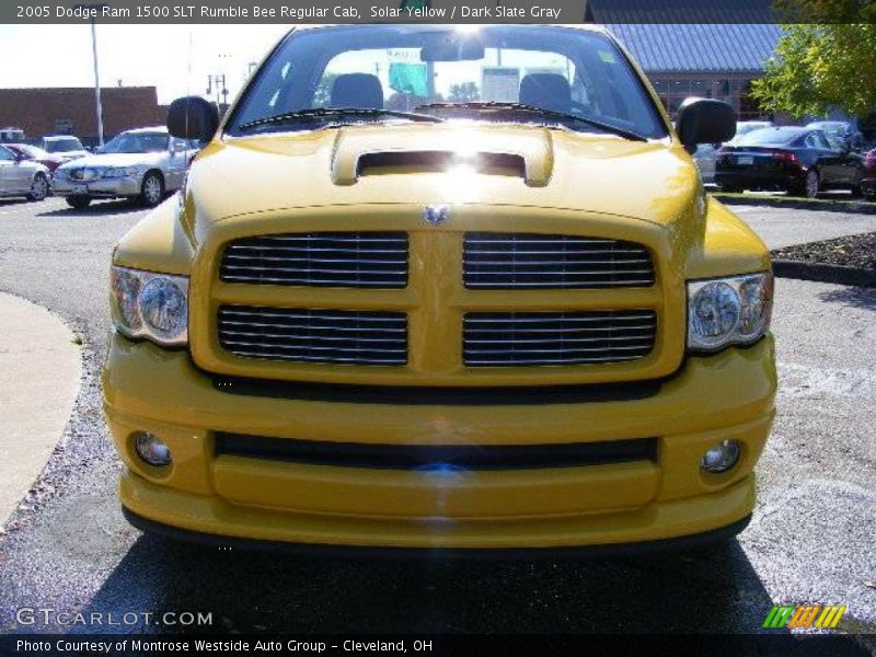  2005 Ram 1500 SLT Rumble Bee Regular Cab Solar Yellow