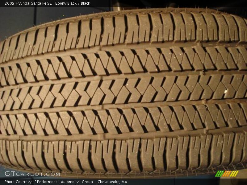Ebony Black / Black 2009 Hyundai Santa Fe SE