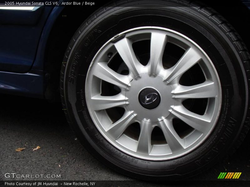 Ardor Blue / Beige 2005 Hyundai Sonata GLS V6