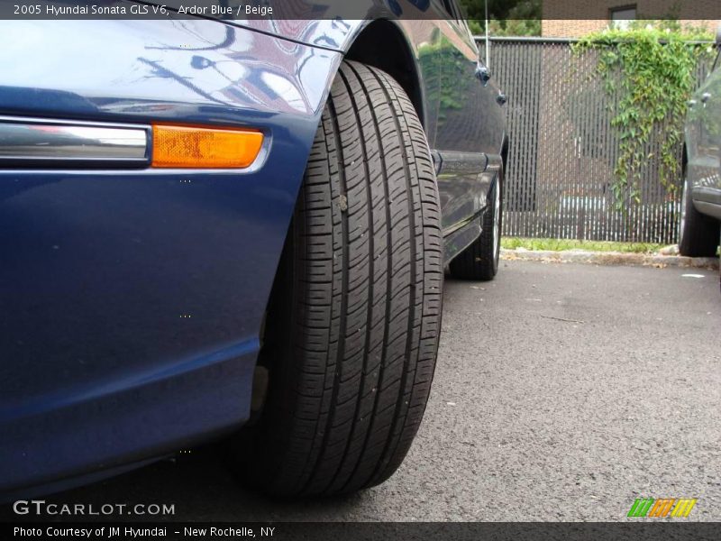 Ardor Blue / Beige 2005 Hyundai Sonata GLS V6