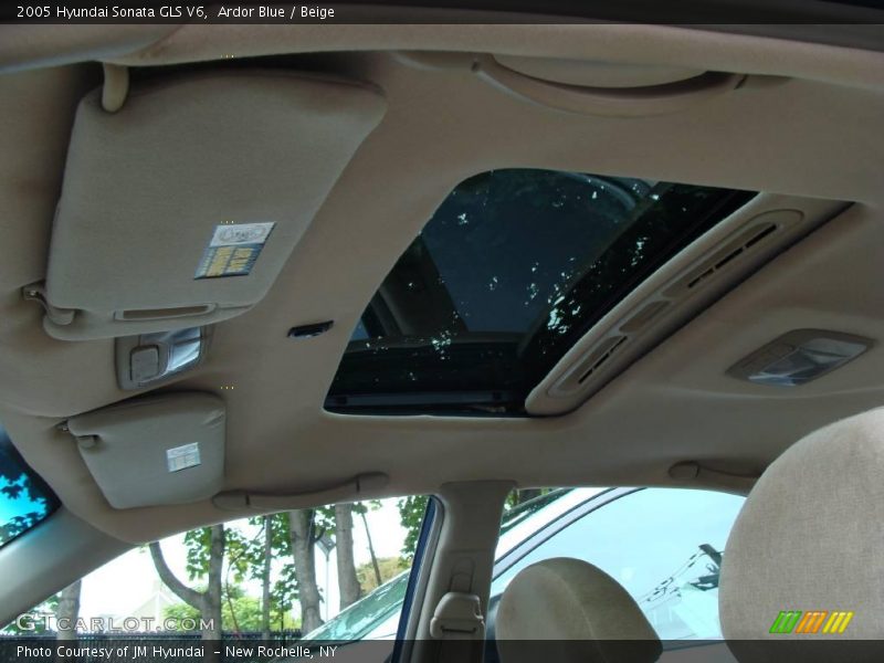 Ardor Blue / Beige 2005 Hyundai Sonata GLS V6