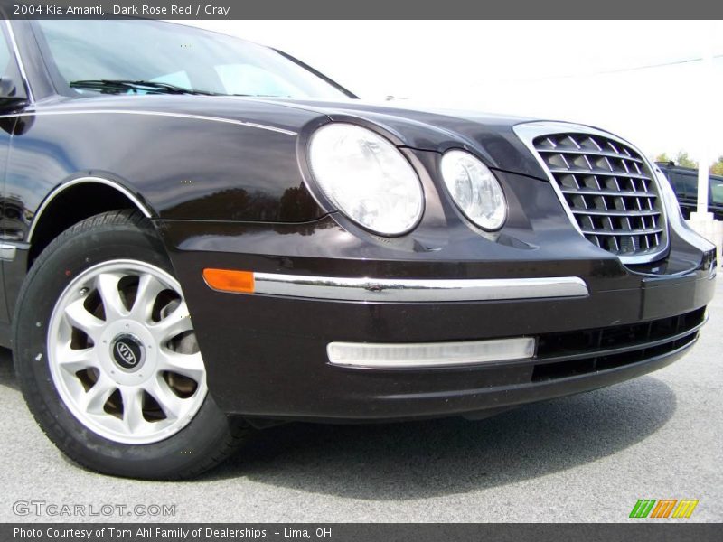 Dark Rose Red / Gray 2004 Kia Amanti
