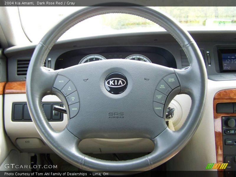 Dark Rose Red / Gray 2004 Kia Amanti
