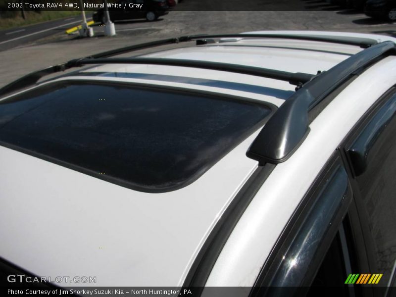Natural White / Gray 2002 Toyota RAV4 4WD