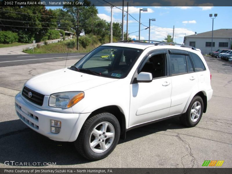 Natural White / Gray 2002 Toyota RAV4 4WD
