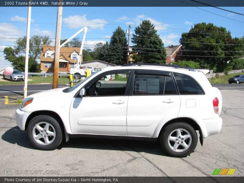 Natural White / Gray 2002 Toyota RAV4 4WD