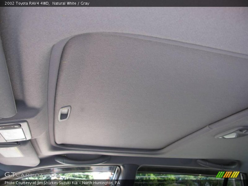Natural White / Gray 2002 Toyota RAV4 4WD