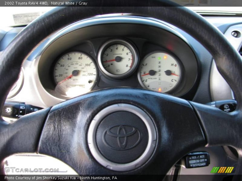 Natural White / Gray 2002 Toyota RAV4 4WD