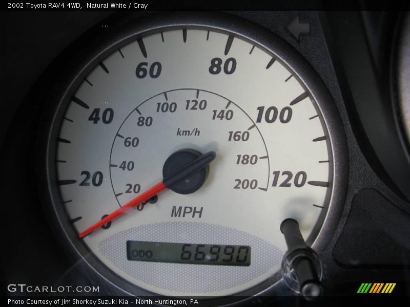 Natural White / Gray 2002 Toyota RAV4 4WD