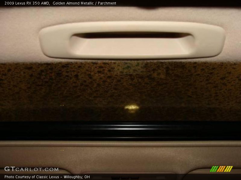 Golden Almond Metallic / Parchment 2009 Lexus RX 350 AWD