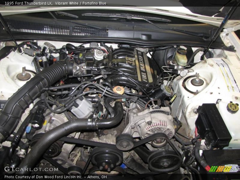 Vibrant White / Portofino Blue 1995 Ford Thunderbird LX