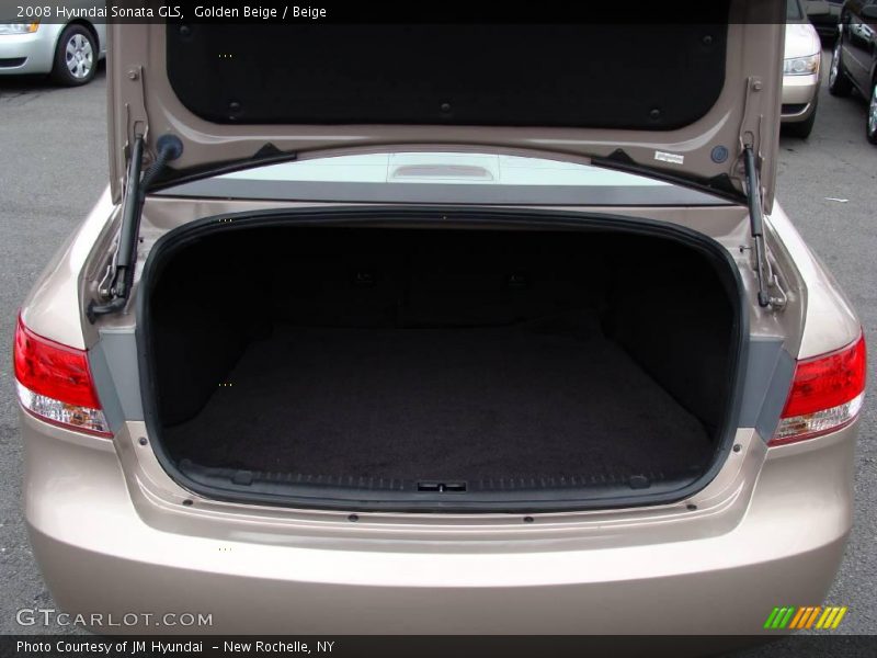 Golden Beige / Beige 2008 Hyundai Sonata GLS