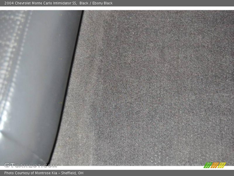 Black / Ebony Black 2004 Chevrolet Monte Carlo Intimidator SS