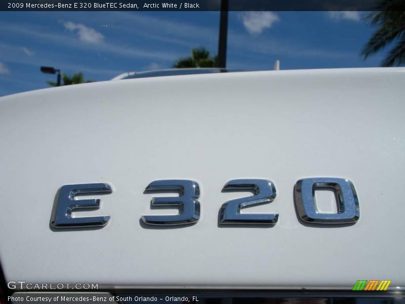 Arctic White / Black 2009 Mercedes-Benz E 320 BlueTEC Sedan