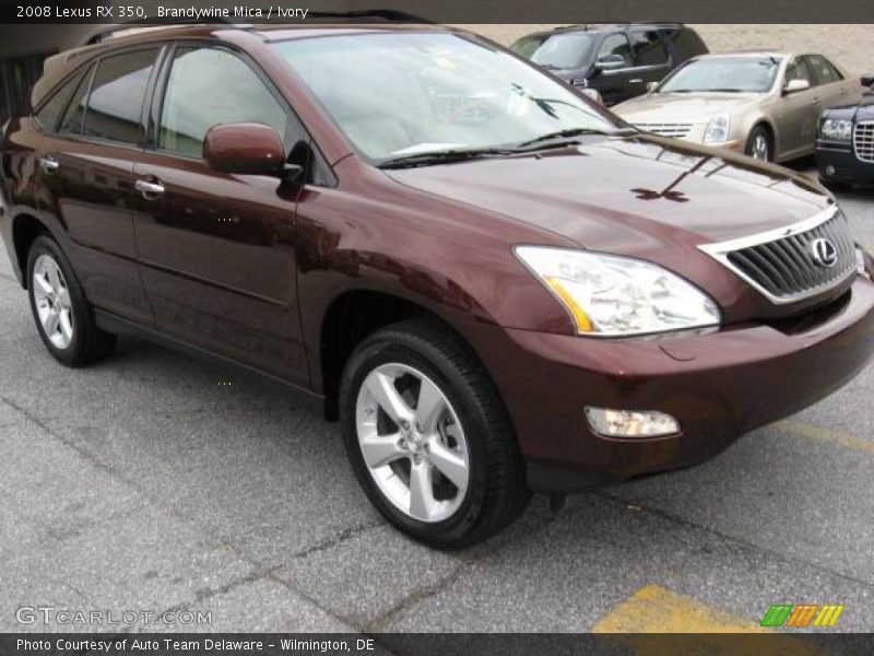 Brandywine Mica / Ivory 2008 Lexus RX 350