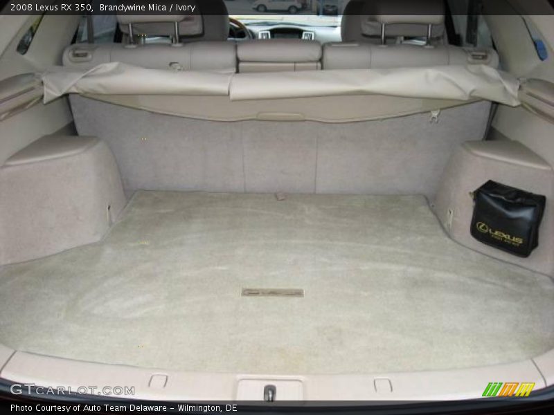 Brandywine Mica / Ivory 2008 Lexus RX 350