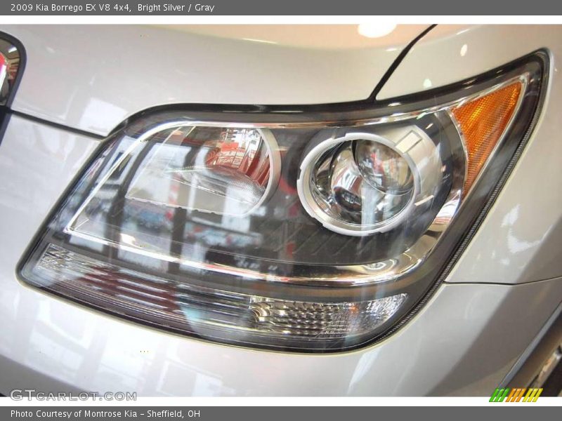 Bright Silver / Gray 2009 Kia Borrego EX V8 4x4