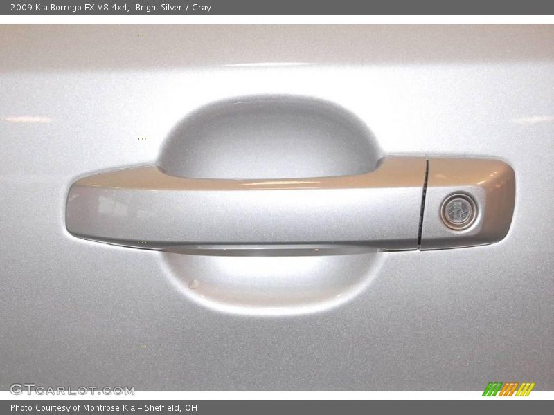 Bright Silver / Gray 2009 Kia Borrego EX V8 4x4