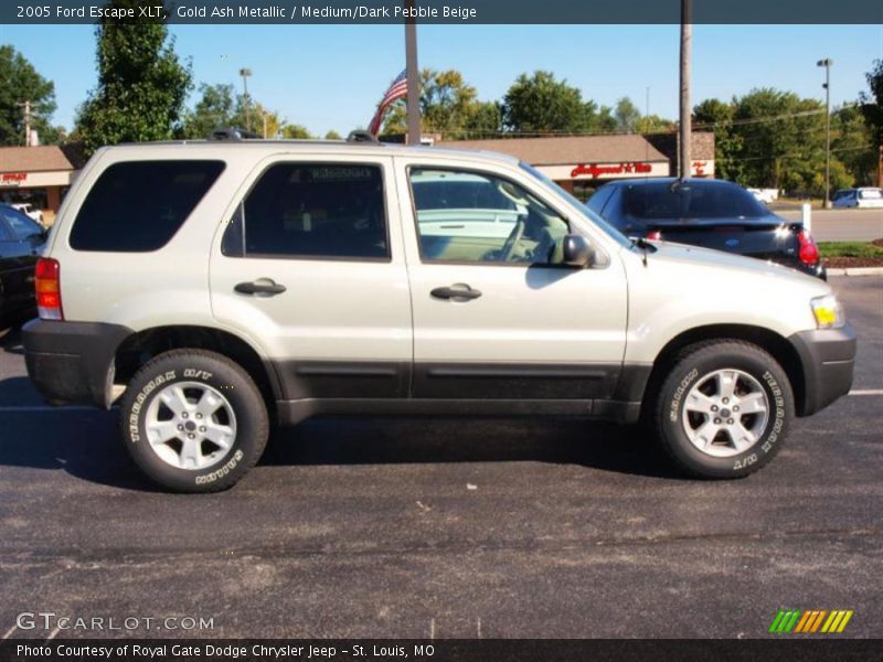 Gold Ash Metallic / Medium/Dark Pebble Beige 2005 Ford Escape XLT