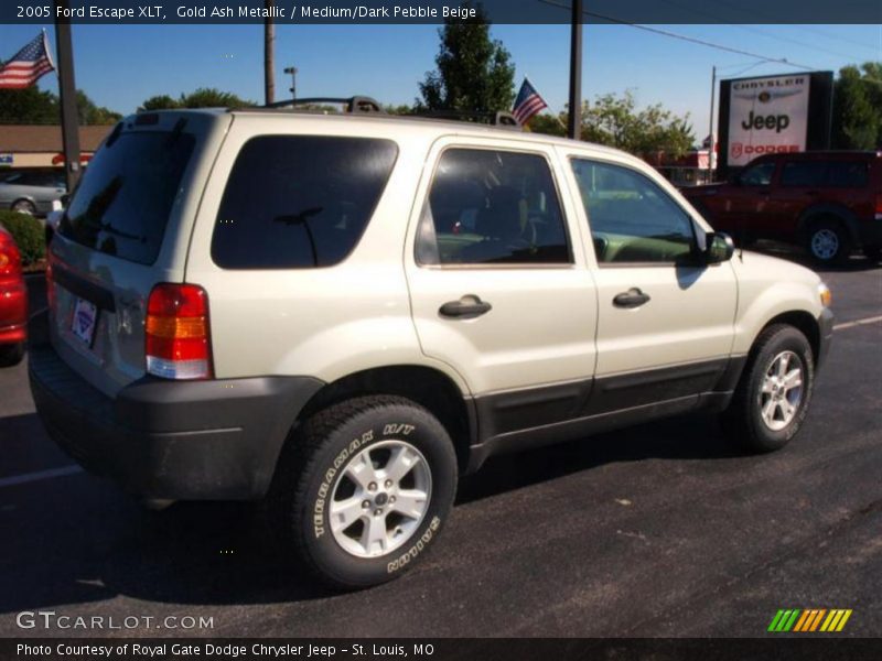 Gold Ash Metallic / Medium/Dark Pebble Beige 2005 Ford Escape XLT