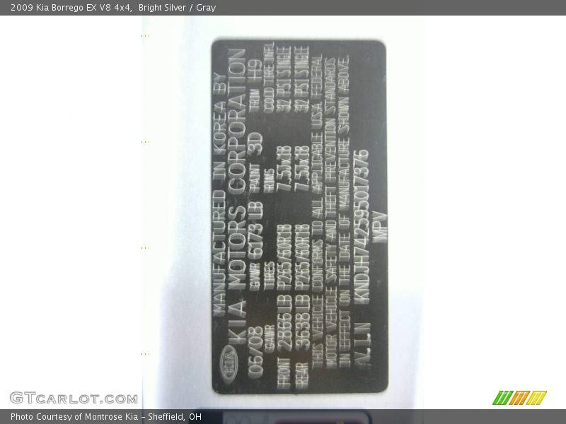 Bright Silver / Gray 2009 Kia Borrego EX V8 4x4