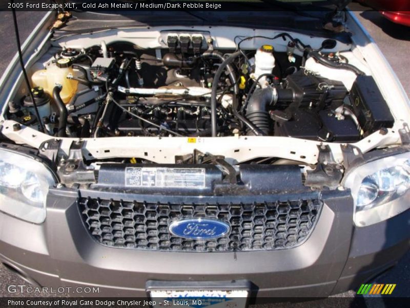 Gold Ash Metallic / Medium/Dark Pebble Beige 2005 Ford Escape XLT