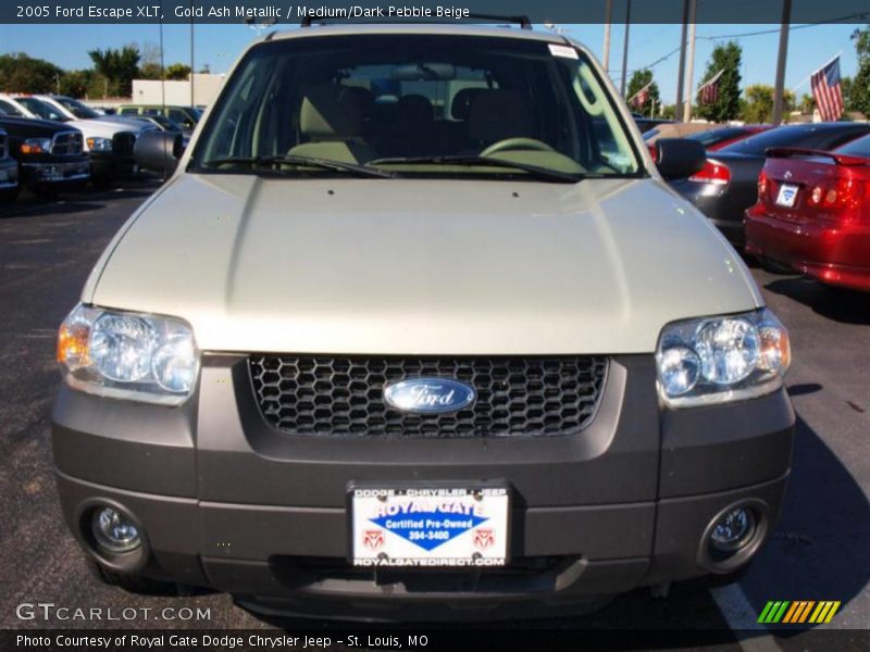 Gold Ash Metallic / Medium/Dark Pebble Beige 2005 Ford Escape XLT