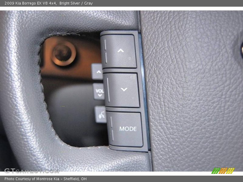 Bright Silver / Gray 2009 Kia Borrego EX V8 4x4