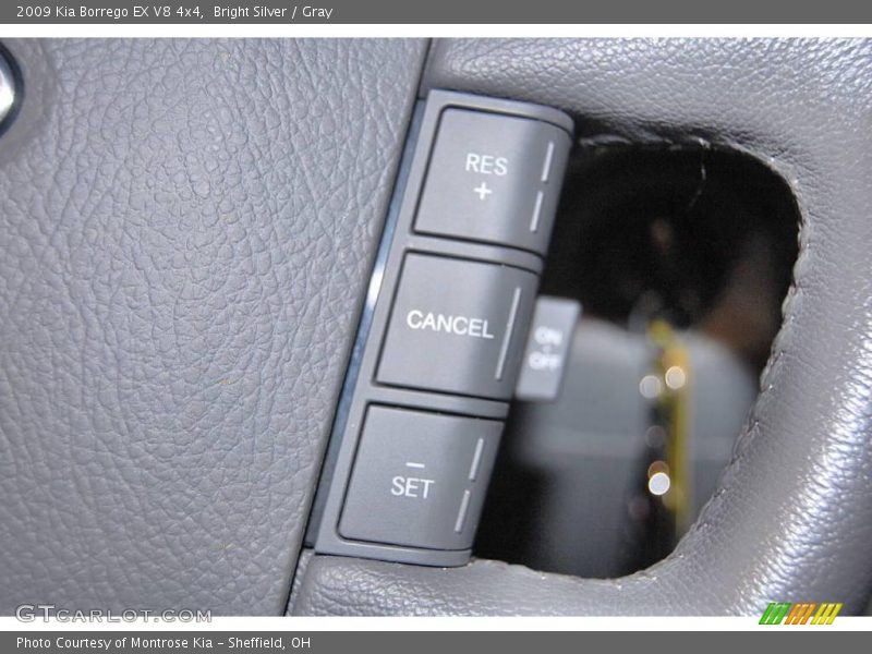 Bright Silver / Gray 2009 Kia Borrego EX V8 4x4