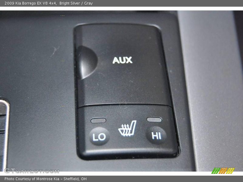 Bright Silver / Gray 2009 Kia Borrego EX V8 4x4