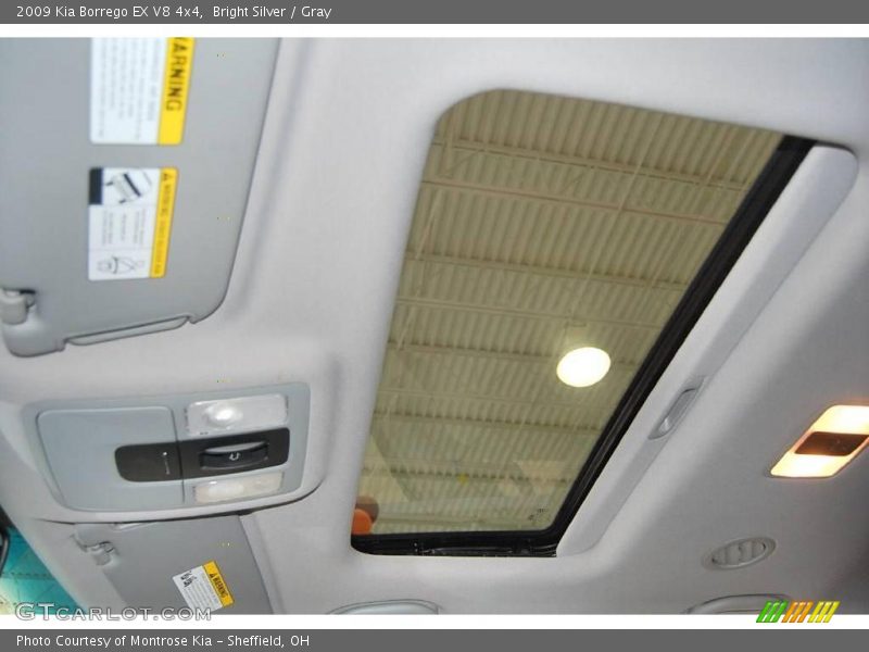 Bright Silver / Gray 2009 Kia Borrego EX V8 4x4