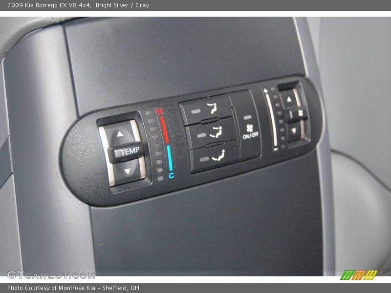 Bright Silver / Gray 2009 Kia Borrego EX V8 4x4