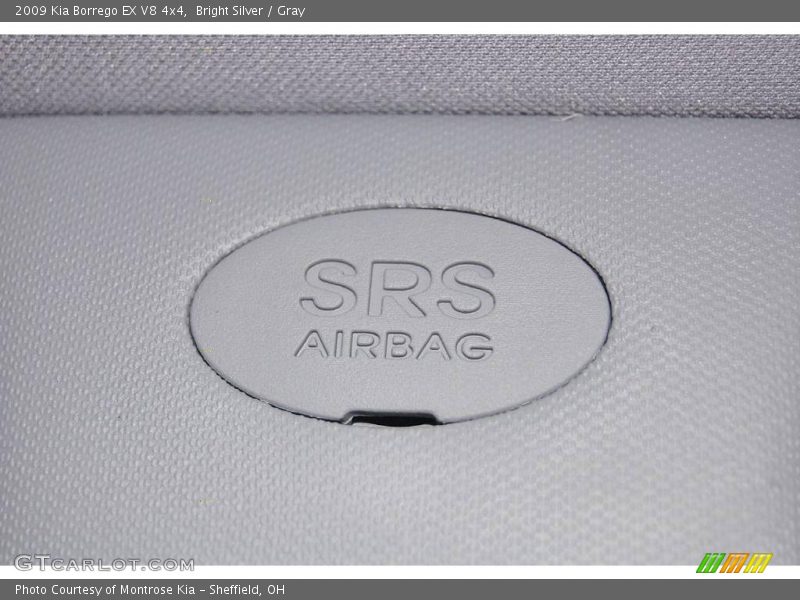 Bright Silver / Gray 2009 Kia Borrego EX V8 4x4