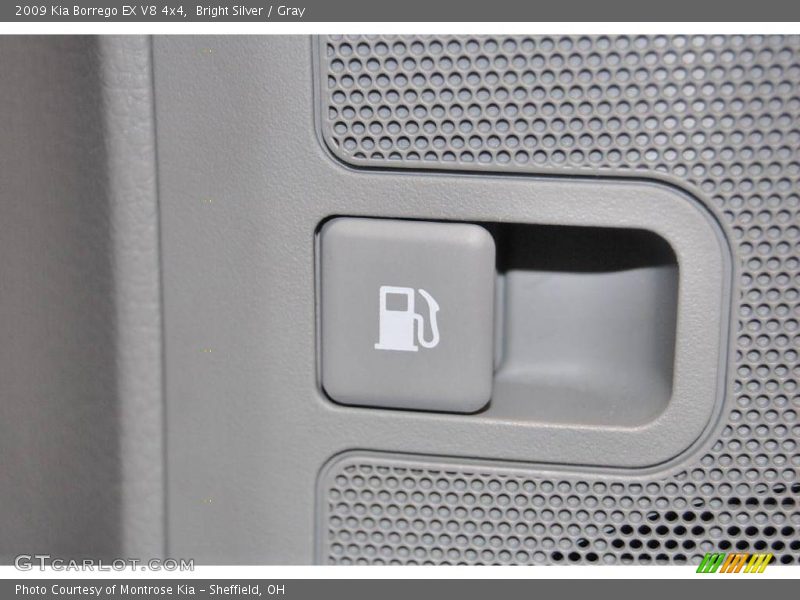 Bright Silver / Gray 2009 Kia Borrego EX V8 4x4