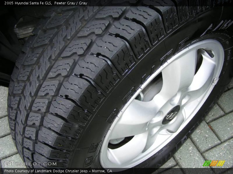 Pewter Gray / Gray 2005 Hyundai Santa Fe GLS