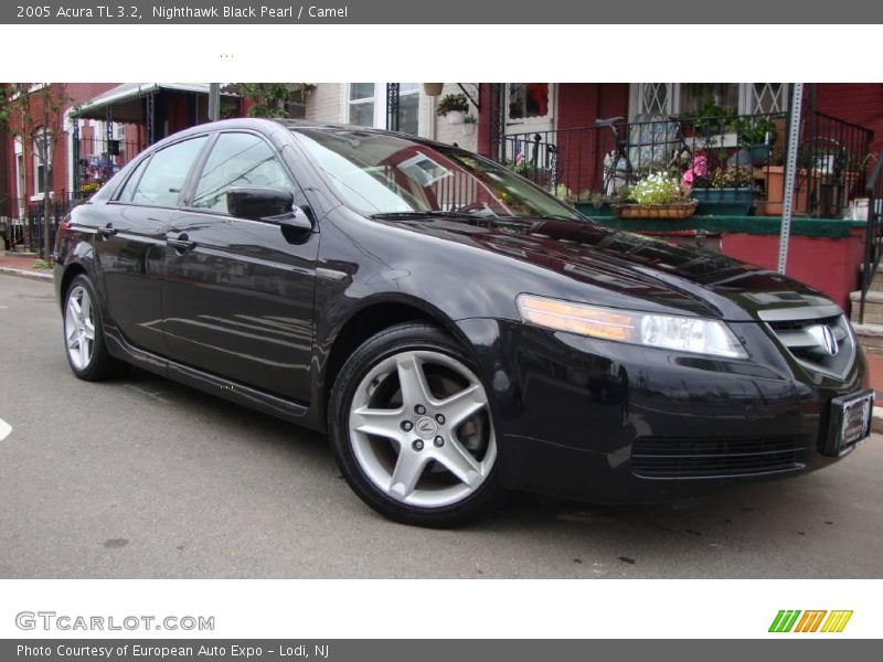 Nighthawk Black Pearl / Camel 2005 Acura TL 3.2