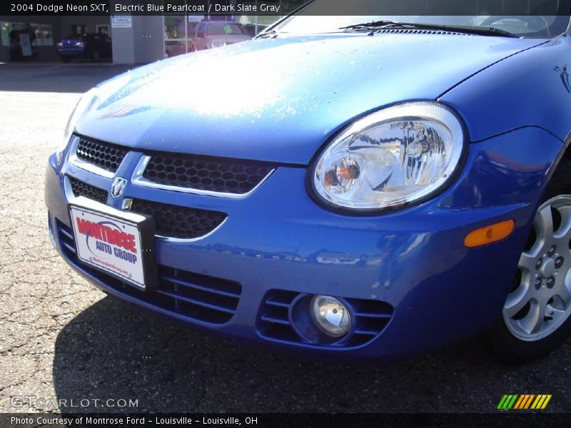 Electric Blue Pearlcoat / Dark Slate Gray 2004 Dodge Neon SXT