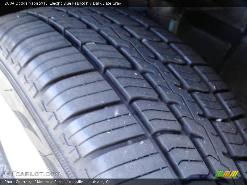 Electric Blue Pearlcoat / Dark Slate Gray 2004 Dodge Neon SXT
