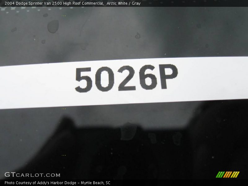 Arctic White / Gray 2004 Dodge Sprinter Van 2500 High Roof Commercial