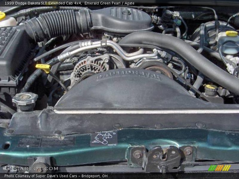 Emerald Green Pearl / Agate 1999 Dodge Dakota SLT Extended Cab 4x4