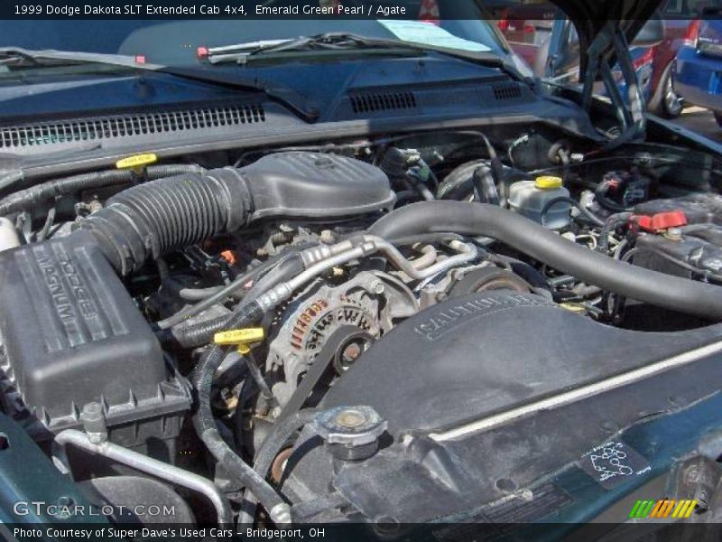 Emerald Green Pearl / Agate 1999 Dodge Dakota SLT Extended Cab 4x4