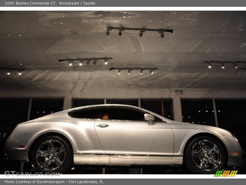 Moonbeam / Saddle 2005 Bentley Continental GT