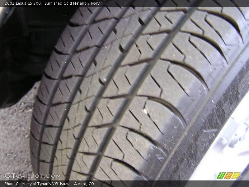 Burnished Gold Metallic / Ivory 2002 Lexus GS 300