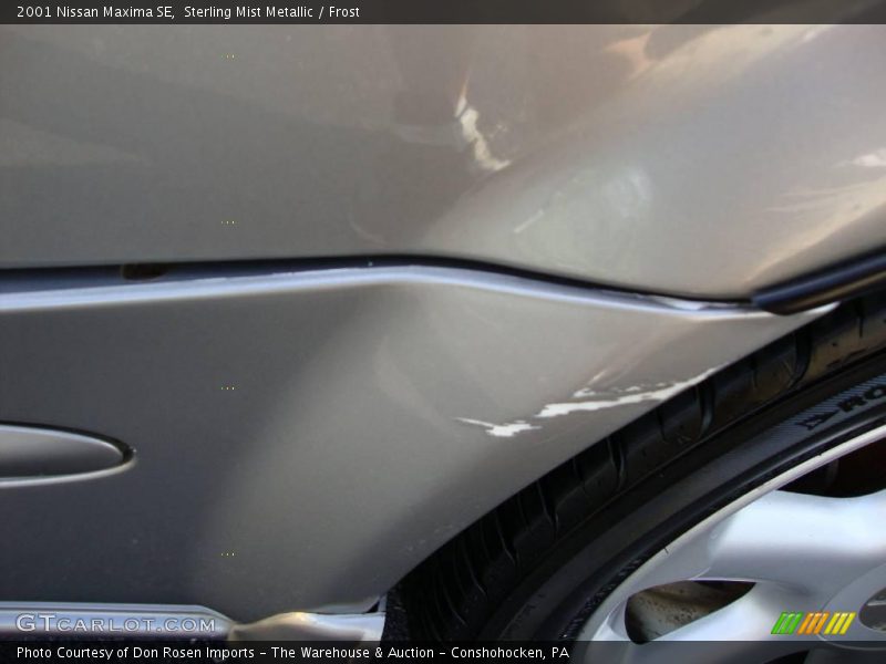 Sterling Mist Metallic / Frost 2001 Nissan Maxima SE